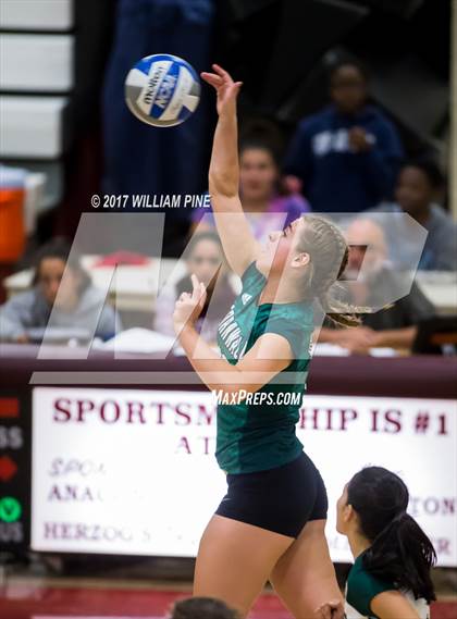 Thumbnail 1 in Cornwall Central @ Kingston photogallery.