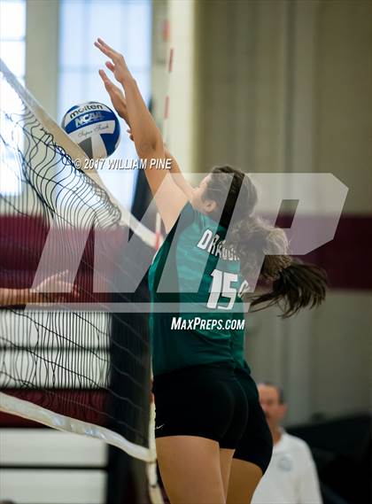 Thumbnail 1 in Cornwall Central @ Kingston photogallery.