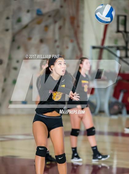 Thumbnail 1 in Cornwall Central @ Kingston photogallery.