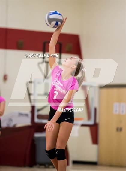 Thumbnail 1 in Cornwall Central @ Kingston photogallery.