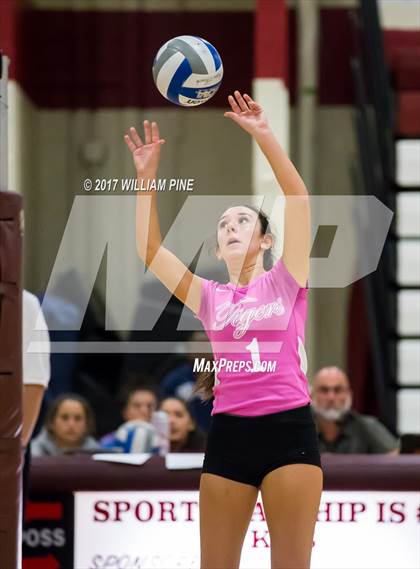 Thumbnail 1 in Cornwall Central @ Kingston photogallery.