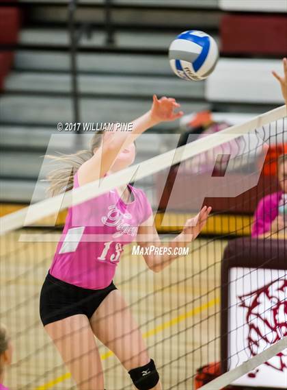 Thumbnail 2 in Cornwall Central @ Kingston photogallery.