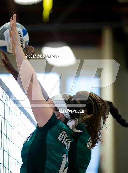 Thumbnail 2 in Cornwall Central @ Kingston photogallery.