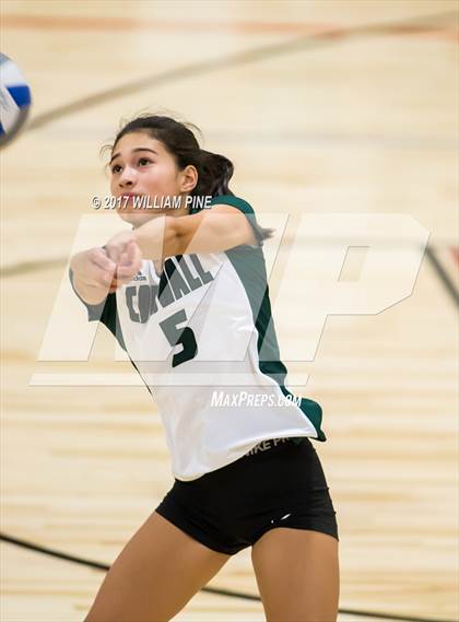 Thumbnail 1 in Cornwall Central @ Kingston photogallery.