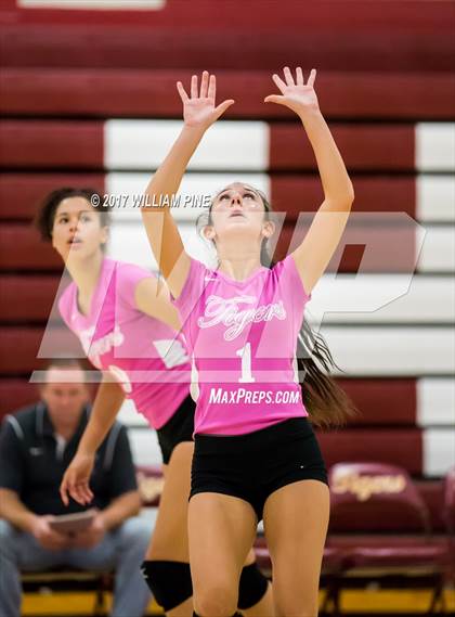 Thumbnail 3 in Cornwall Central @ Kingston photogallery.