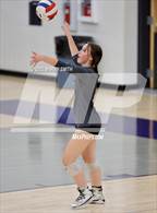 Photo from the gallery "Roosevelt @ Severance"