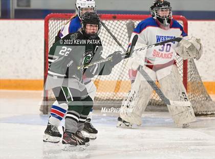Thumbnail 1 in Guilford @ West Haven/SHA photogallery.
