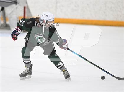 Thumbnail 1 in Guilford @ West Haven/SHA photogallery.