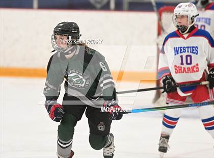 Thumbnail 1 in Guilford @ West Haven/SHA photogallery.