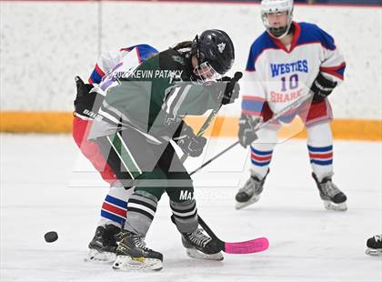 Thumbnail 1 in Guilford @ West Haven/SHA photogallery.