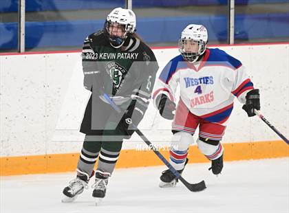 Thumbnail 1 in Guilford @ West Haven/SHA photogallery.