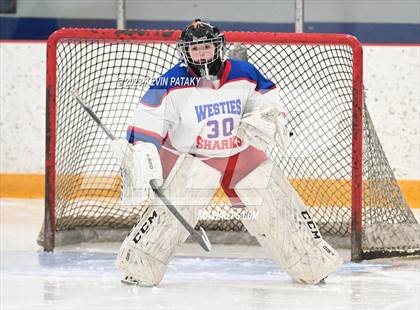 Thumbnail 1 in Guilford @ West Haven/SHA photogallery.