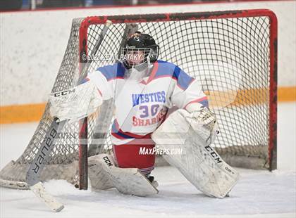 Thumbnail 3 in Guilford @ West Haven/SHA photogallery.