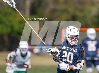 Thumbnail 1 in Lakewood Ranch vs Land O’Lakes photogallery.