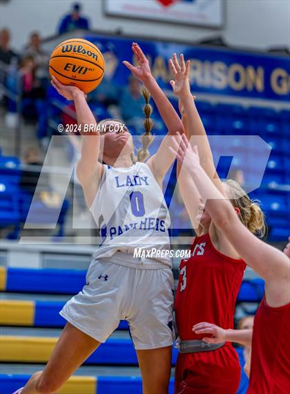 Thumbnail 2 in Mena vs Bergman (Lendel Thomas Classic) photogallery.