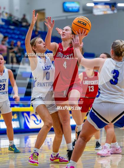 Thumbnail 1 in Mena vs Bergman (Lendel Thomas Classic) photogallery.