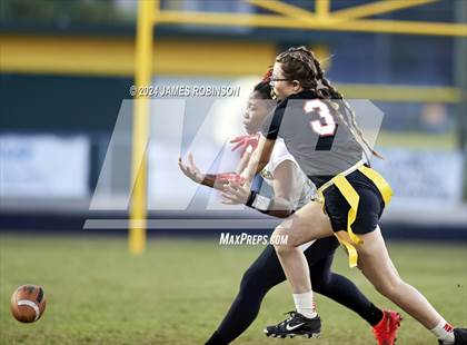 Thumbnail 3 in Middleburg @ ED White photogallery.