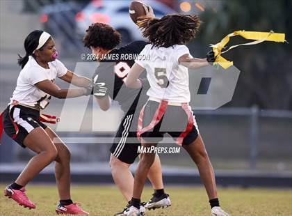 Thumbnail 3 in Middleburg @ ED White photogallery.