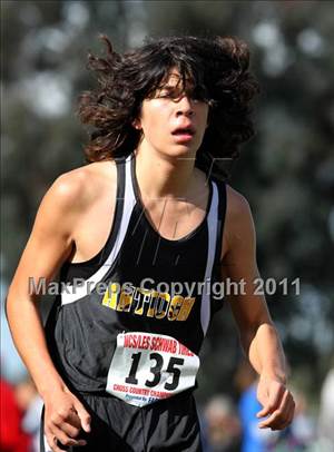 CIF NCS Cross Country Championships (Boys D1)