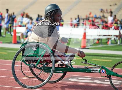 Thumbnail 2 in Panther Relays (100M Wheel Chair) photogallery.