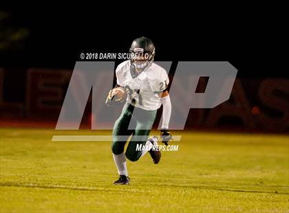 Thumbnail 2 in Basha @ Hamilton photogallery.