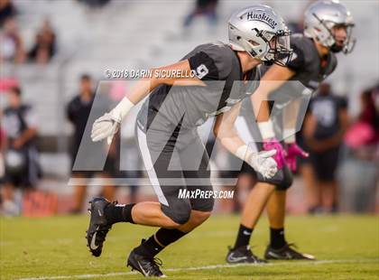 Thumbnail 3 in Basha @ Hamilton photogallery.