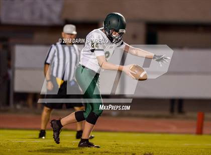 Thumbnail 2 in Basha @ Hamilton photogallery.