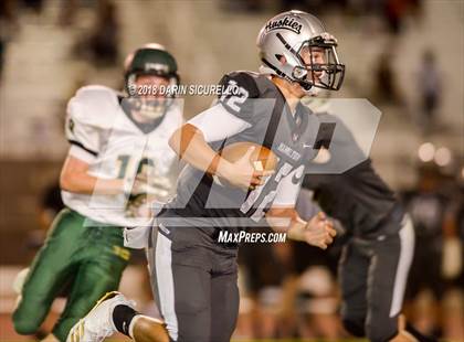 Thumbnail 3 in Basha @ Hamilton photogallery.