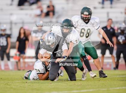 Thumbnail 2 in Basha @ Hamilton photogallery.