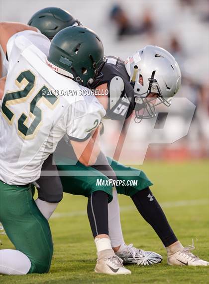 Thumbnail 3 in Basha @ Hamilton photogallery.