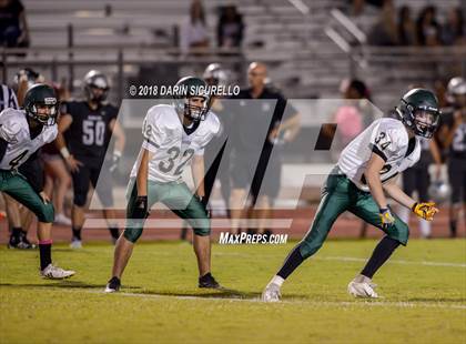 Thumbnail 2 in Basha @ Hamilton photogallery.
