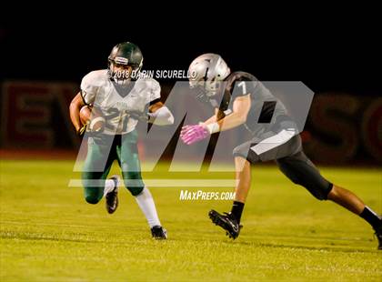 Thumbnail 3 in Basha @ Hamilton photogallery.