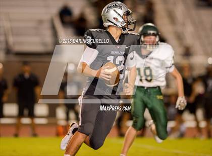 Thumbnail 2 in Basha @ Hamilton photogallery.