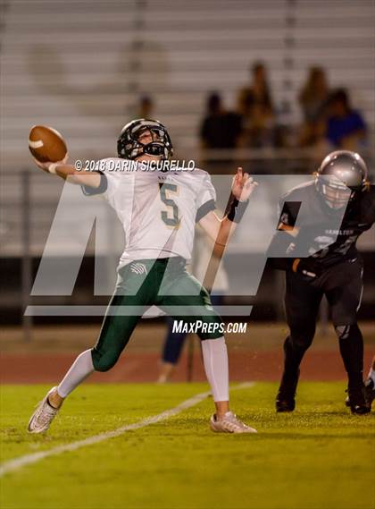 Thumbnail 2 in Basha @ Hamilton photogallery.