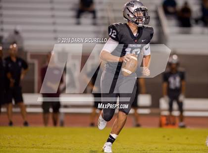 Thumbnail 1 in Basha @ Hamilton photogallery.