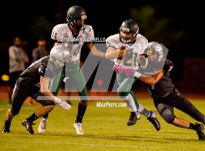 Thumbnail 1 in Basha @ Hamilton photogallery.