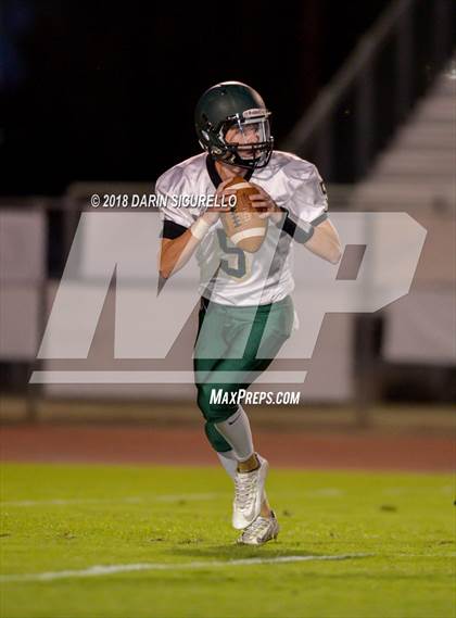 Thumbnail 3 in Basha @ Hamilton photogallery.