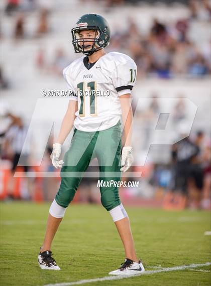 Thumbnail 2 in Basha @ Hamilton photogallery.
