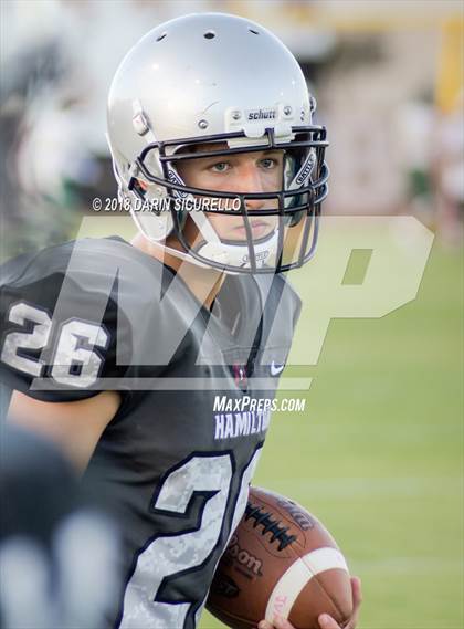 Thumbnail 2 in Basha @ Hamilton photogallery.