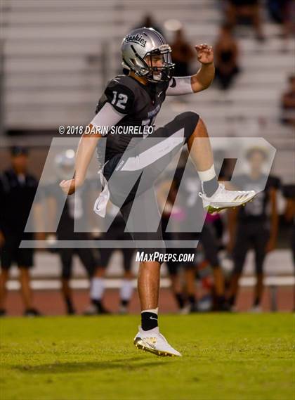 Thumbnail 3 in Basha @ Hamilton photogallery.
