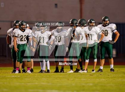 Thumbnail 1 in Basha @ Hamilton photogallery.