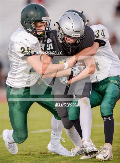 Thumbnail 3 in Basha @ Hamilton photogallery.