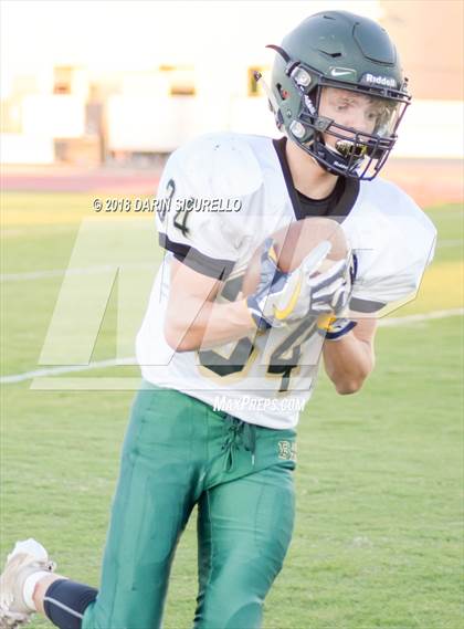 Thumbnail 3 in Basha @ Hamilton photogallery.