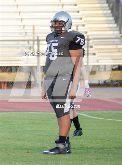 Thumbnail 2 in Basha @ Hamilton photogallery.