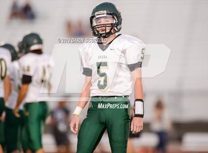 Thumbnail 1 in Basha @ Hamilton photogallery.