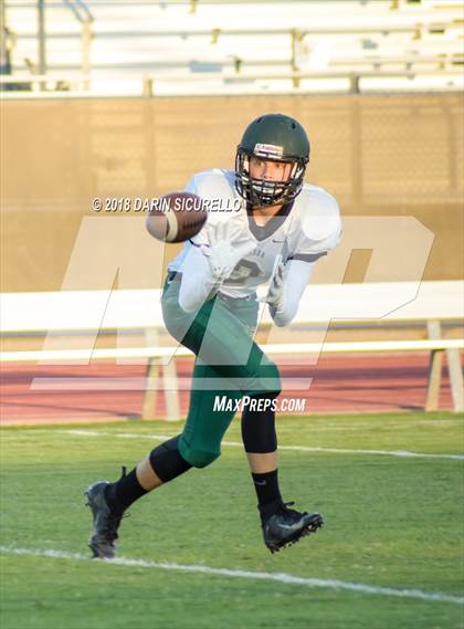 Thumbnail 1 in Basha @ Hamilton photogallery.