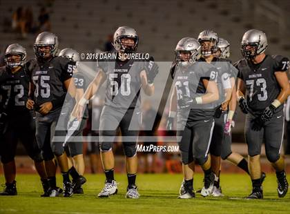 Thumbnail 2 in Basha @ Hamilton photogallery.