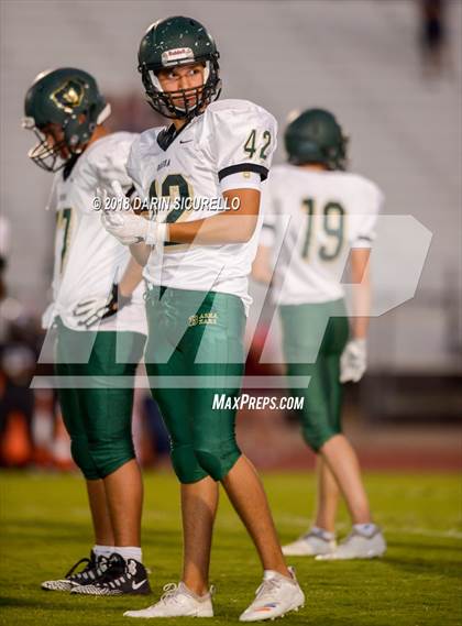 Thumbnail 1 in Basha @ Hamilton photogallery.