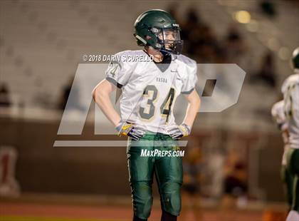 Thumbnail 3 in Basha @ Hamilton photogallery.