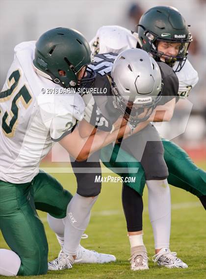 Thumbnail 1 in Basha @ Hamilton photogallery.